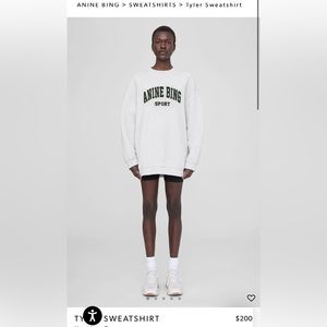 Anine bing tyler sweatshirt